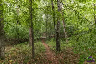 222 Tommys Trail, Forsyth, GA 31029 - Photo 33