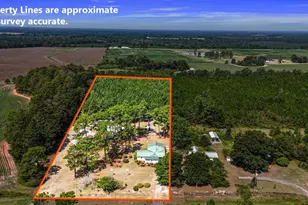 5605 N Hwy 33, Arabi, GA 31712 - Photo 57