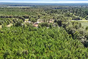 5605 N Hwy 33, Arabi, GA 31712 - Photo 59