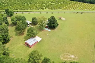 160 Underwood Rd, Reynolds, GA 31076 - Photo 55