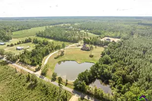 2509 Orphans Cemetery Rd, Eastman, GA 31023 - Photo 23