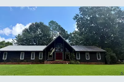 910 Pineridge Drive, Montezuma, GA 31063 - Photo 1