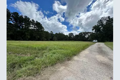 319 Abbeville Highway, Hawkinsville, GA 31036 - Photo 3