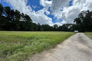319 Abbeville Hwy, Hawkinsville, GA 31036 - Photo 3