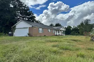 319 Abbeville Hwy, Hawkinsville, GA 31036 - Photo 5