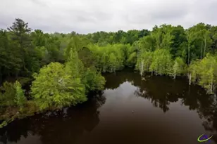 575 Holland Rd, Fort Valley, GA 31030 - Photo 25