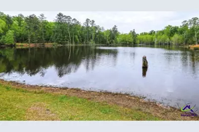 575 Holland Road, Fort Valley, GA 31030 - Photo 19