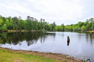 575 Holland Rd, Fort Valley, GA 31030 - Photo 19