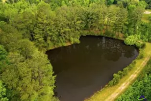 575 Holland Rd, Fort Valley, GA 31030 - Photo 27