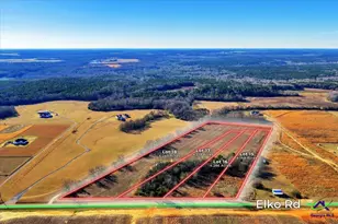 Lot 15 Elko (4 12+/- Acres) Rd, Elko, GA 31025 - Photo 1
