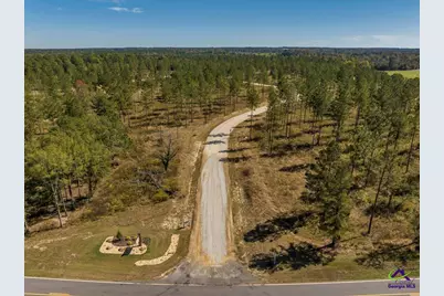 27 Evergreen Drive, Cochran, GA 31014 - Photo 13
