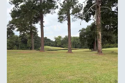 209 Patricia Drive, Montezuma, GA 31063 - Photo 61