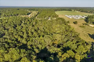 319 Pope Rd, Roberta, GA 31078 - Photo 49