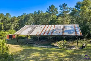 319 Pope Rd, Roberta, GA 31078 - Photo 61