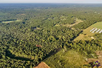 319 Pope Road, Roberta, GA 31078 - Photo 47