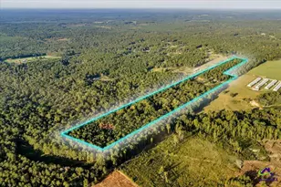 319 Pope Rd, Roberta, GA 31078 - Photo 89