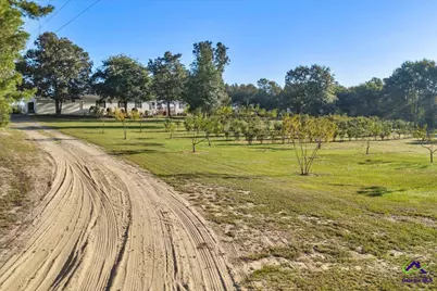 319 Pope Road, Roberta, GA 31078 - Photo 41