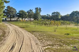 319 Pope Rd, Roberta, GA 31078 - Photo 41