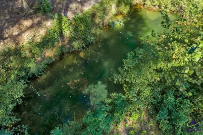 319 Pope Road, Roberta, GA 31078 - Photo 63