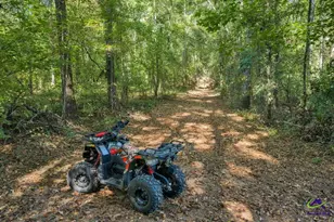 319 Pope Rd, Roberta, GA 31078 - Photo 75