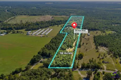 319 Pope Road, Roberta, GA 31078 - Photo 87