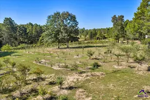 319 Pope Rd, Roberta, GA 31078 - Photo 77