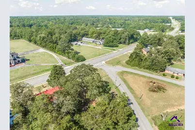 0 Progress Avenue, Hawkinsville, GA 31036 - Photo 9