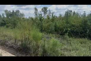 00 Peacock Crossing, Tennille, GA 31089 - Photo 1