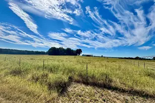 131 Griffin Rd, Hawkinsville, GA 31036 - Photo 49