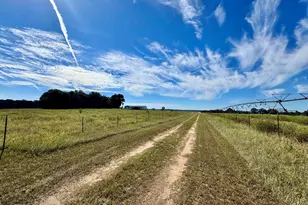 131 Griffin Rd, Hawkinsville, GA 31036 - Photo 7