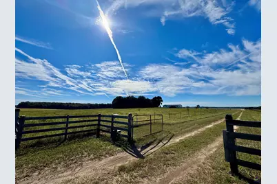 131 Griffin Road, Hawkinsville, GA 31036 - Photo 5