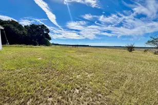 131 Griffin Rd, Hawkinsville, GA 31036 - Photo 45