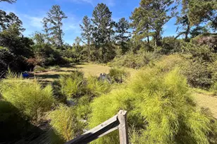 101 Shady Ln Rd, Mcrae, GA 31037 - Photo 25