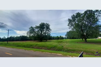 00 N County Line Road, Elko, GA 31025 - Photo 7