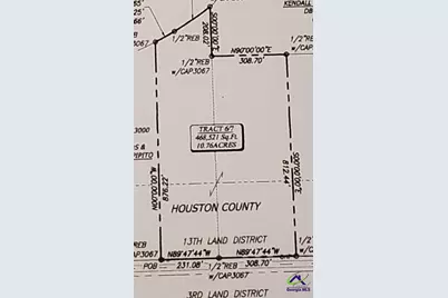 00 N County Line Road, Elko, GA 31025 - Photo 17