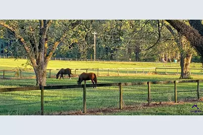 00 N County Line Road, Elko, GA 31025 - Photo 15