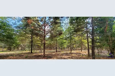 00 N County Line Road, Elko, GA 31025 - Photo 13