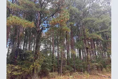 Lot 5&amp;6 Limestone Landing, Cochran, GA 31014 - Photo 1