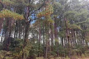Lot 5&amp 6 Limestone Landing, Cochran, GA 31014 - Photo 1