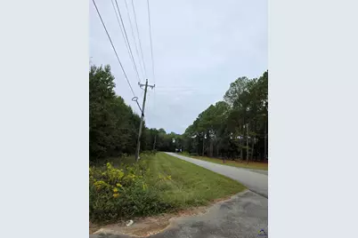 0 Benny Sharp Road, Hawkinsville, GA 31036 - Photo 3