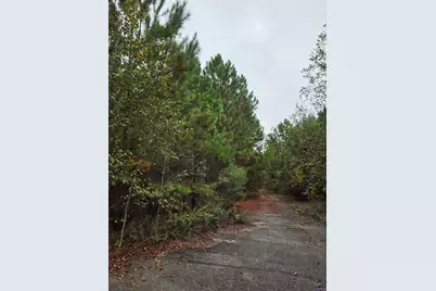 0 Benny Sharp Road, Hawkinsville, GA 31036 - Photo 7