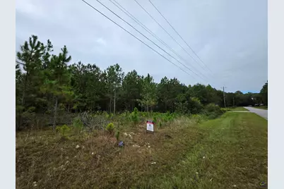 0 Benny Sharp Road, Hawkinsville, GA 31036 - Photo 5