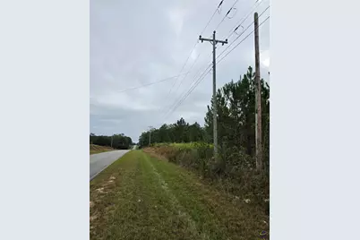 0 Benny Sharp Road, Hawkinsville, GA 31036 - Photo 1