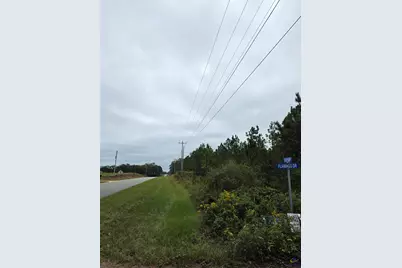 0 Benny Sharp Road, Hawkinsville, GA 31036 - Photo 9