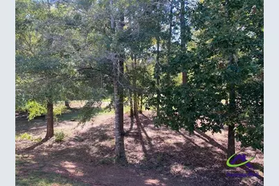344 Spyglass Hill Drive, Perry, GA 31069 - Photo 25