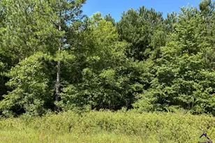 0 High Crest Ln, Hawkinsville, GA 31036 - Photo 1