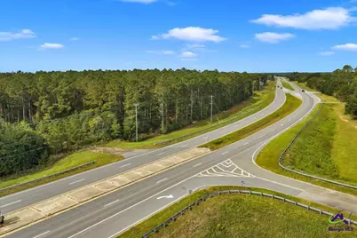 0 Perry Hwy, Hawkinsville, GA 31036 - Photo 13