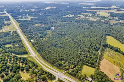 0 Perry Hwy, Hawkinsville, GA 31036 - Photo 11