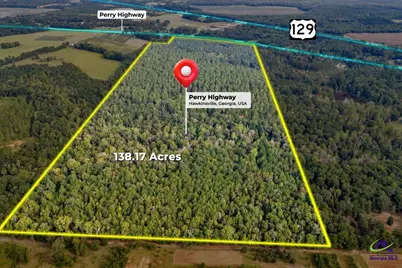 0 Perry Hwy, Hawkinsville, GA 31036 - Photo 3