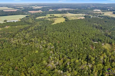 0 Perry Hwy, Hawkinsville, GA 31036 - Photo 5